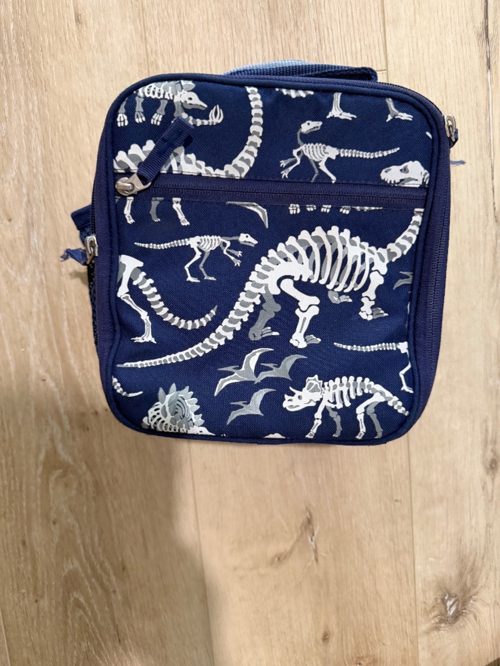 Pottery Barn Kids dinosaur lunch box